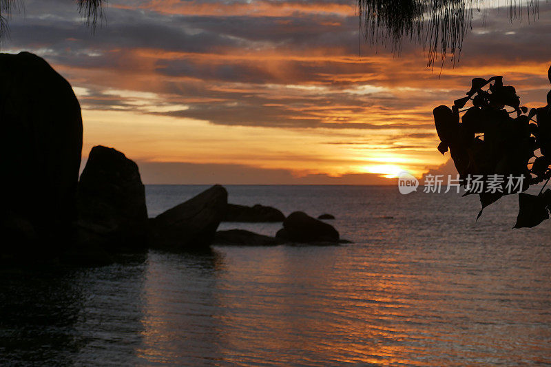 Anse ship, Praslin，塞舌尔